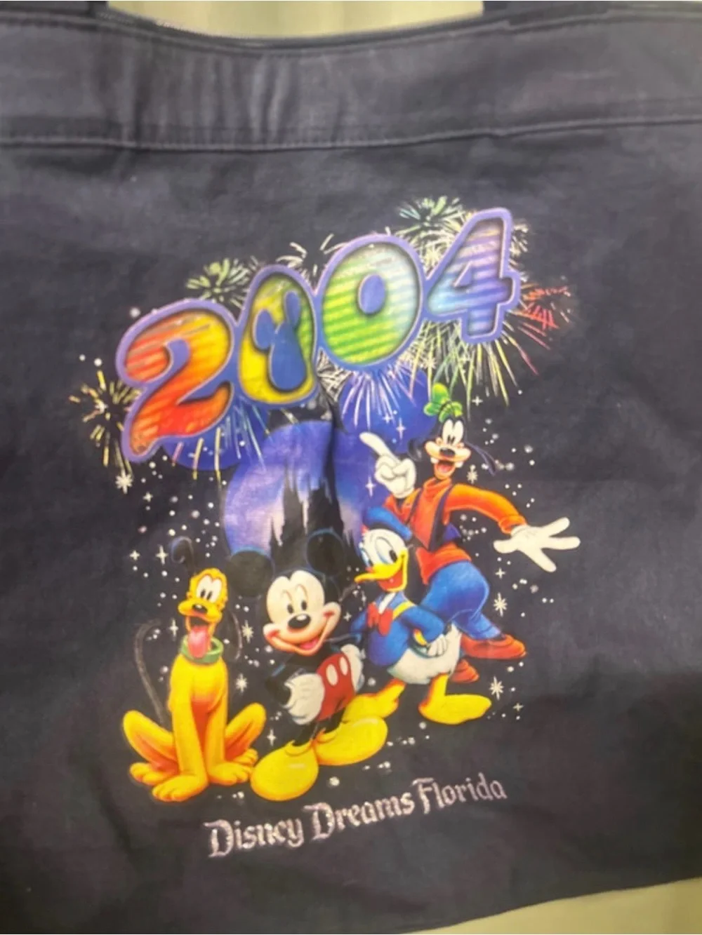 Disney Navy Multi‑Color 2004 Disney Dreams Florida Tote Bag